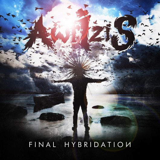 AWRIZIS – Final Hybridation