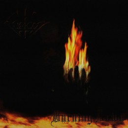 FORGOT - Burning Down