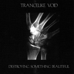 TRANCELIKE VOID - Destroying Something Beatufull