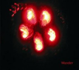 WANDER - Wander