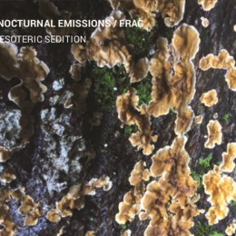 NOCTURNAL EMISSIONS / FRAG  - Esoteric Sedition