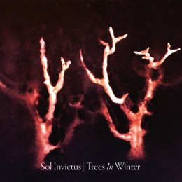 SOL INVICTUS - Trees in Winter
